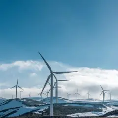 Jak działa elektrownia wiatrowa i jak możesz zyskać na energii wiatrowej