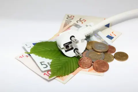 Wtyczka elektryczna, liście i monety na banknotach euro. Zastanawiasz się, w jakich godzinach jest najtańszy prąd?