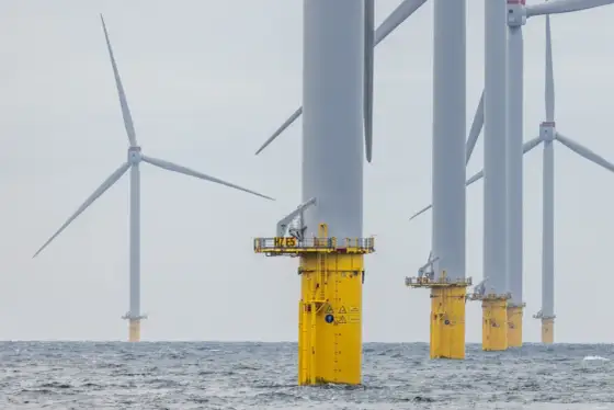 Ile kosztuje farma wiatrowa w Polsce? Analiza kosztów i ROI